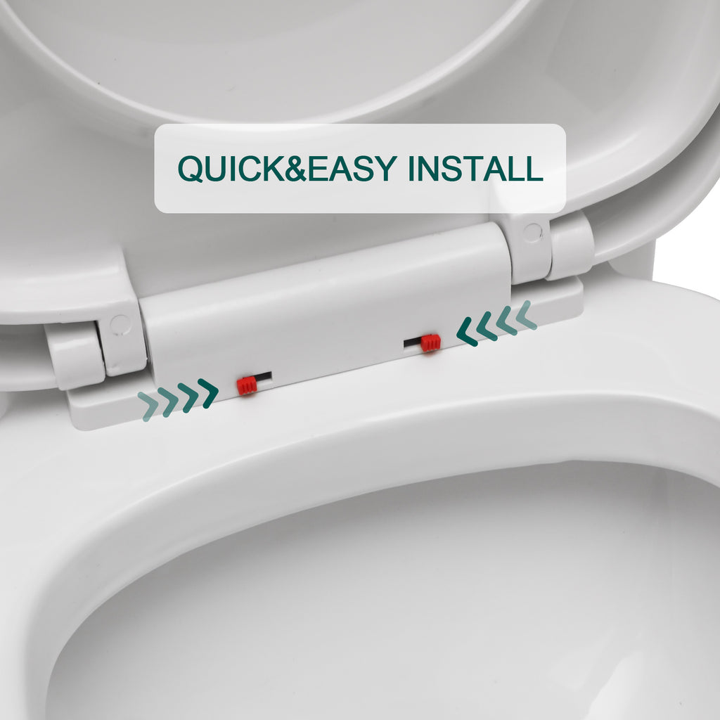 Talllor One-Piece Toilet Tempoii TLMTD-0023 Dual Flush Design ADA Height 15 9/16 Inches Toilets 1.1/1.6 GPF Soft Close Toilet Seat White 12-Inch Rough-In, 14.5"x27.5"x29.25"